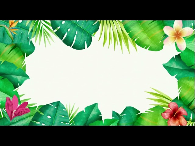 areas de proteccion de flora y fauna en mexico