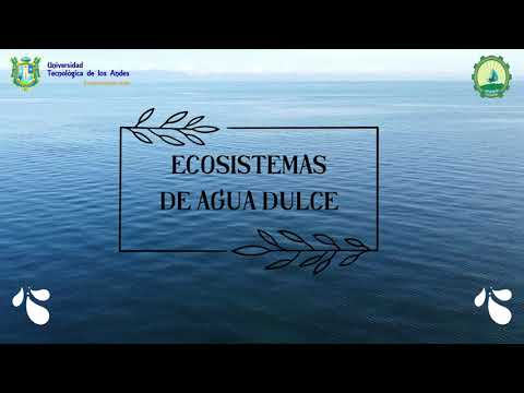 caracteristicas del ecosistema de agua dulce