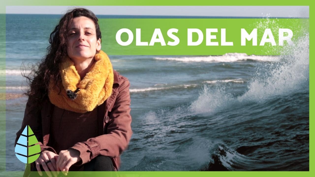 como se forman las olas del mar
