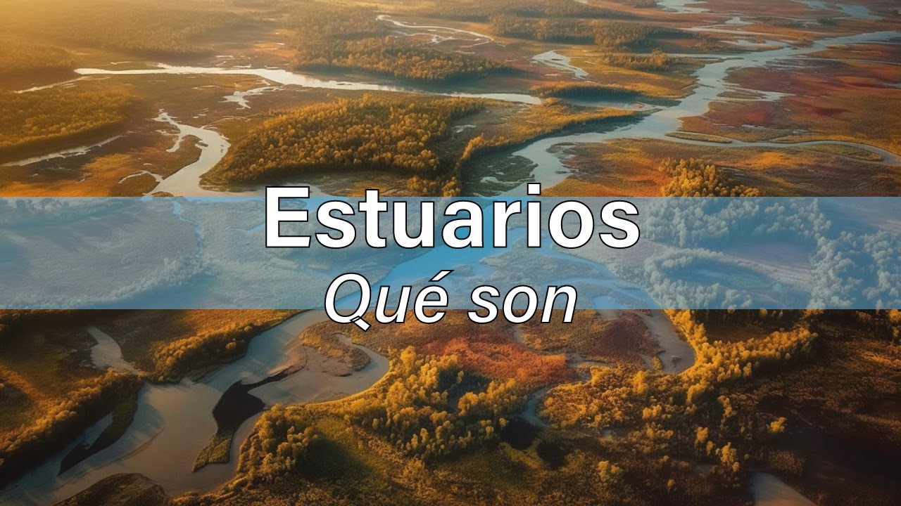 cuál es la flora de los estuarios