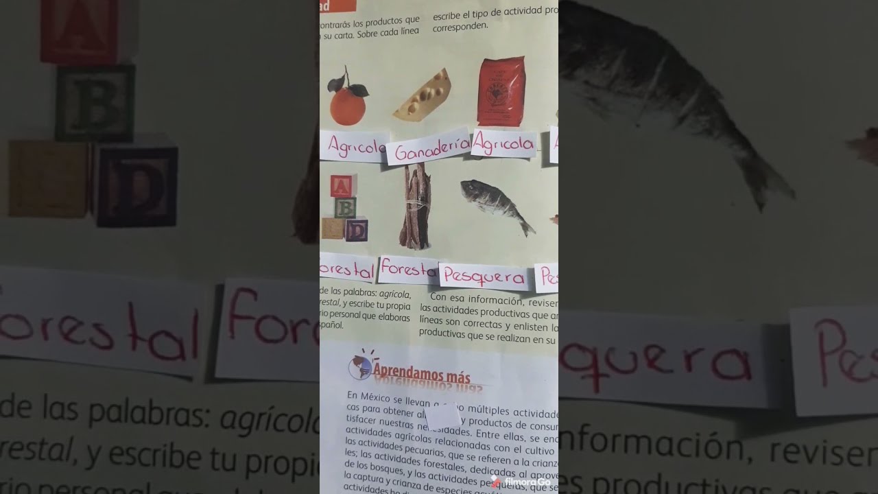 geografia cuarto grado pagina 118