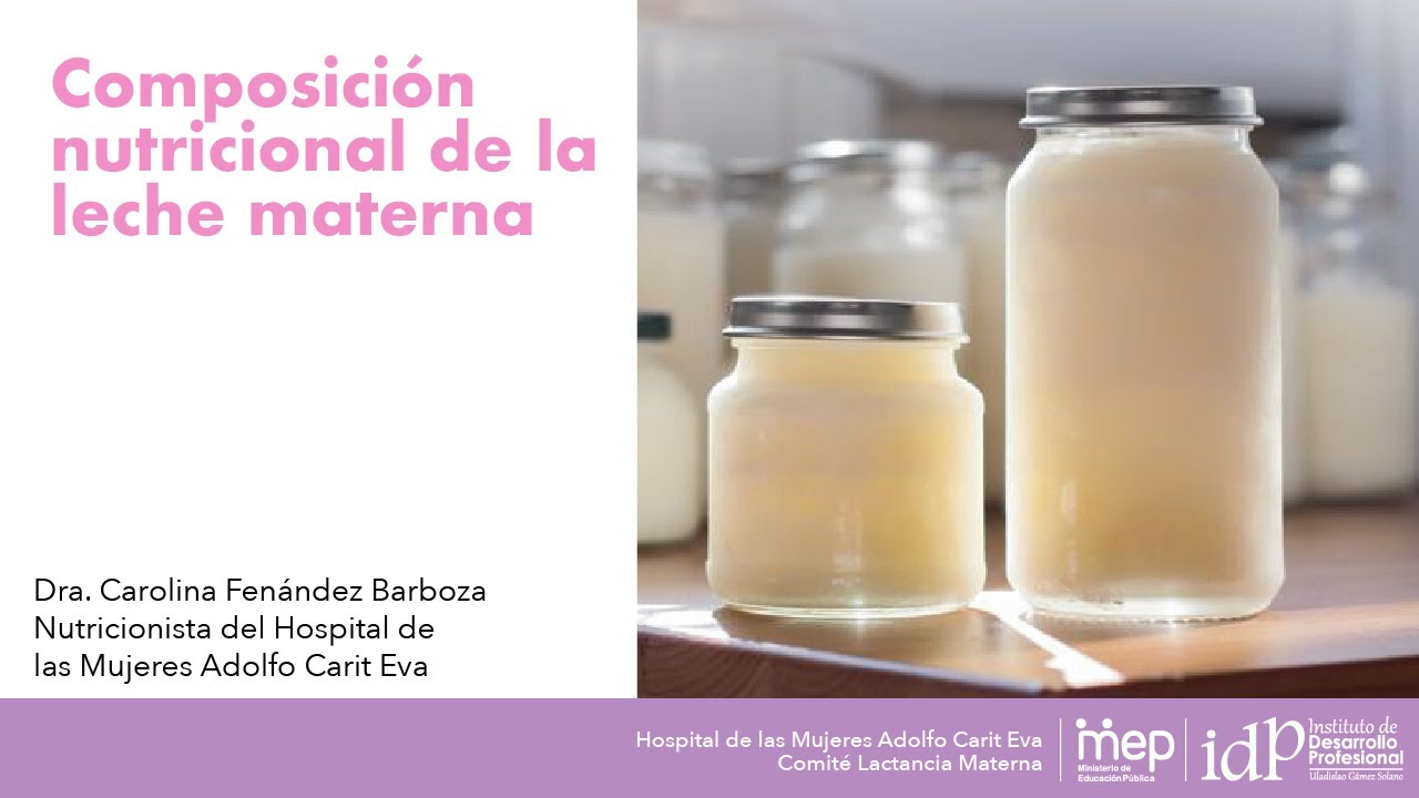 la composición de la leche materna