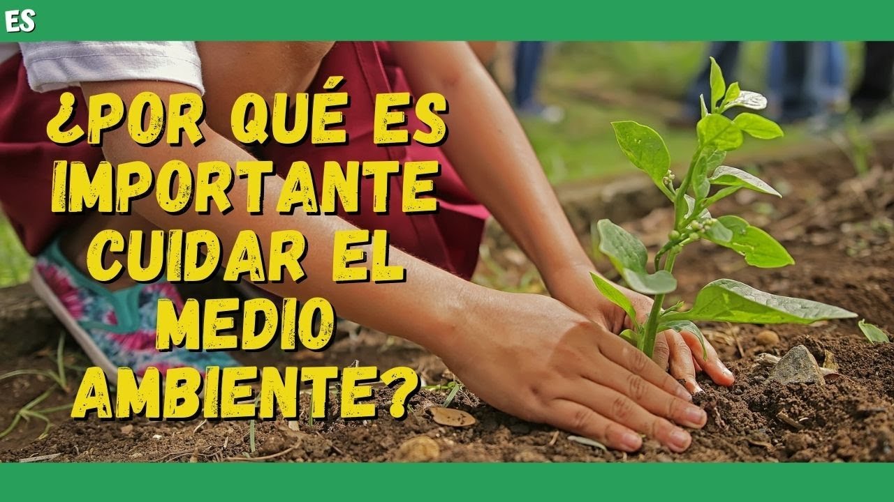 porque es importante cuidar el medio ambiente