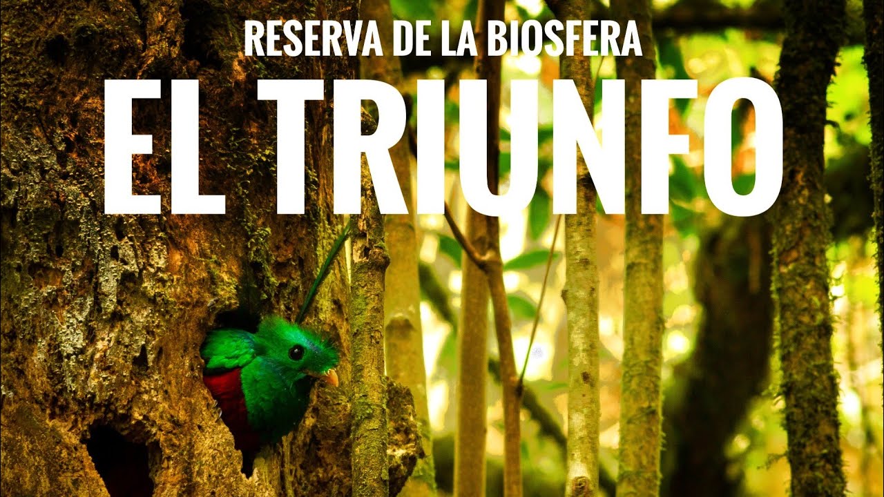 reservas de la biosfera en chiapas