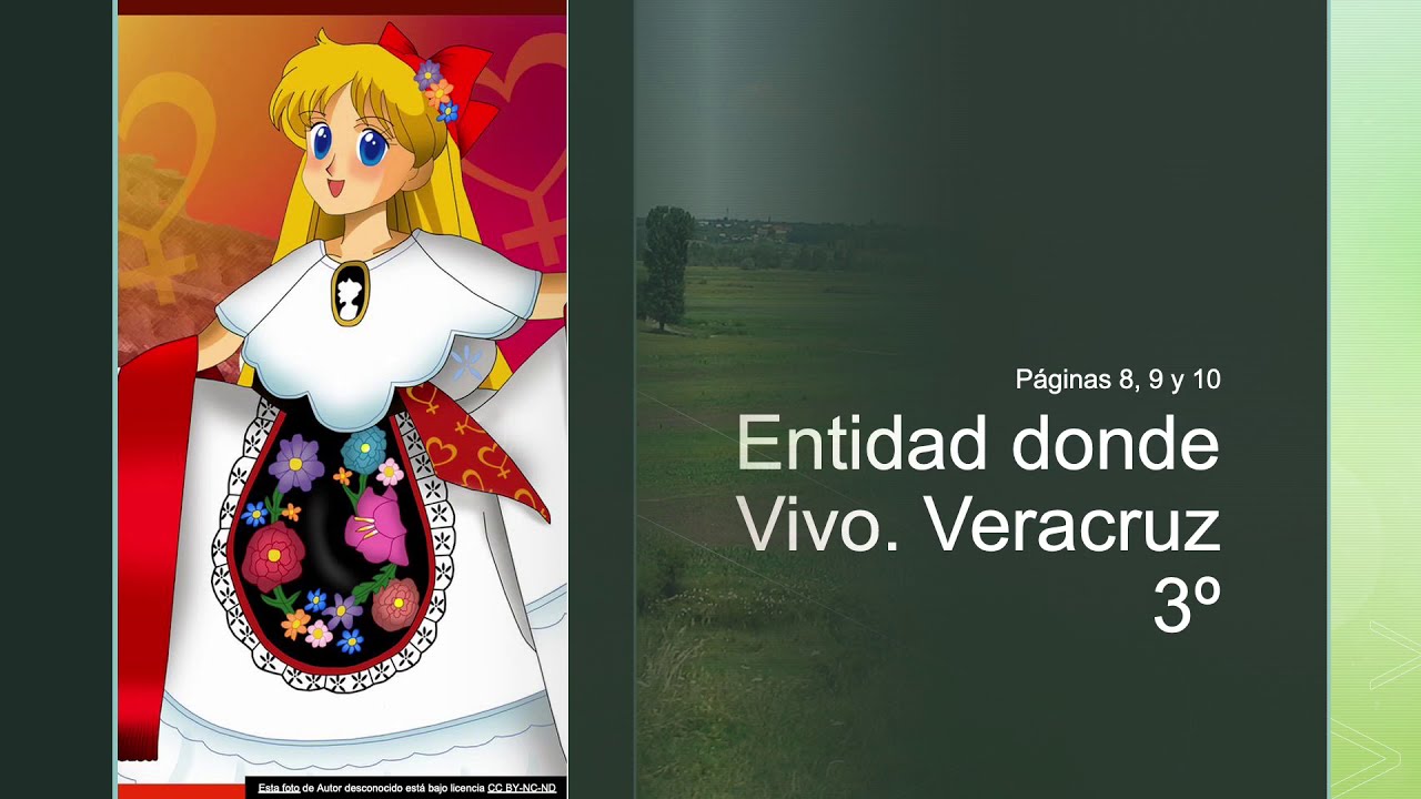 tipos de relieve en veracruz