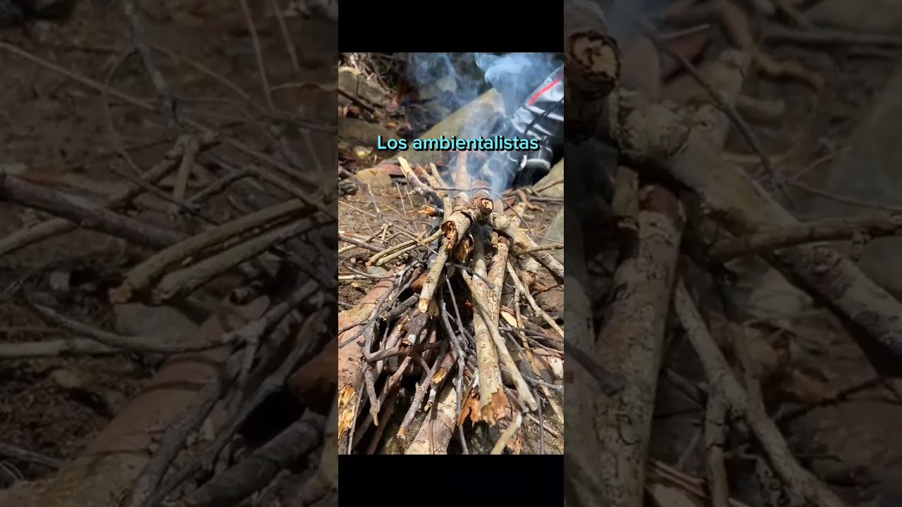 5 causas de los incendios forestales