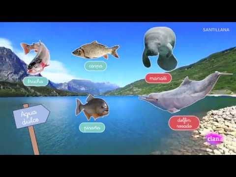 animales que viven en agua dulce