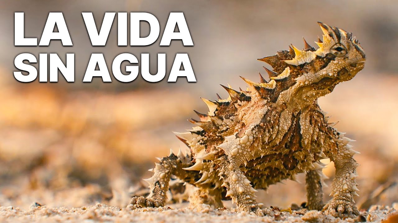 ciencia y tecnología en la vida animal