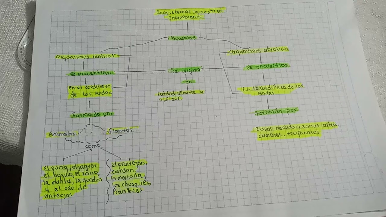 cuadro sinoptico de los ecosistemas terrestres