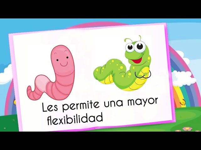 cuáles son los animales que se arrastran