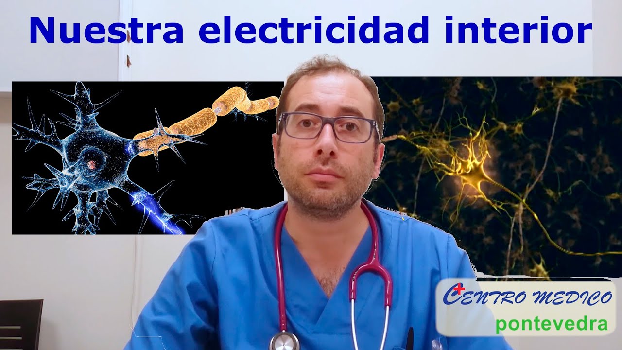 de donde proviene la electricidad de nuestro cuerpo