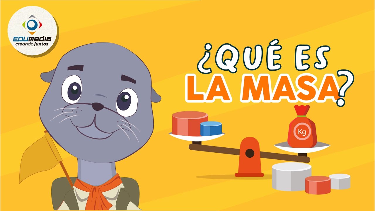 dispositivo que se utiliza para determinar la masa delos objetos