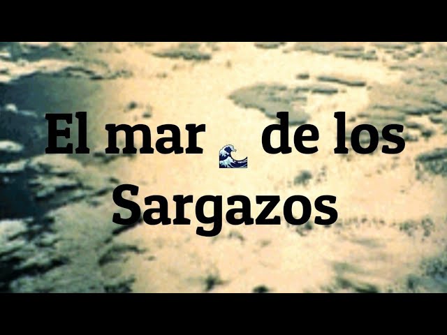 el mar de los sargazos