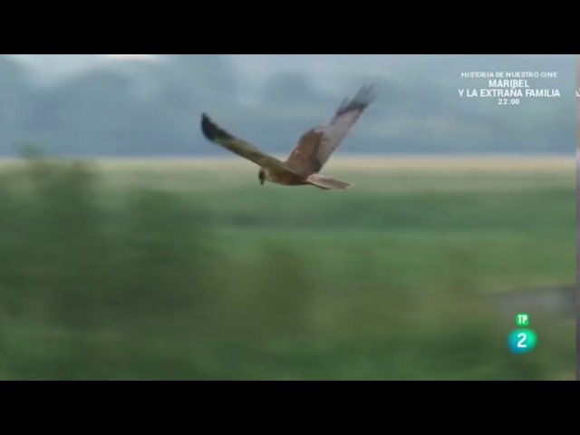 flora y fauna de francia