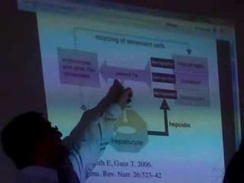 importancia biológica e industrial de los elementos químicos