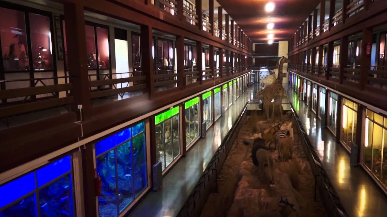 museo de ciencias naturales el carmen