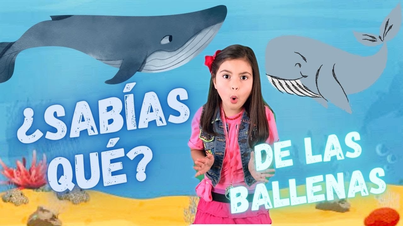 partes del cuerpo de la ballena para niños
