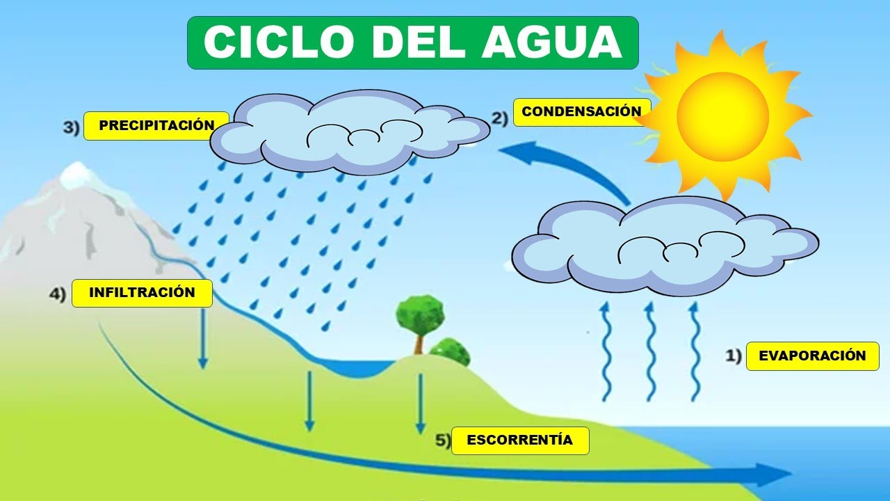 que es la infiltracion en el ciclo del agua