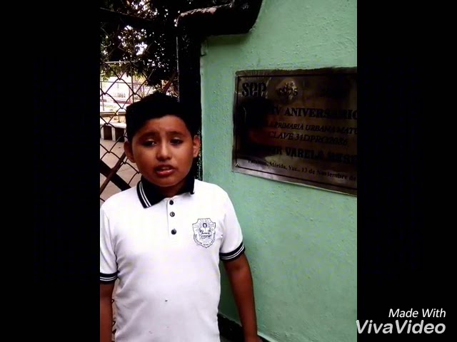 reportaje de mi localidad sexto grado