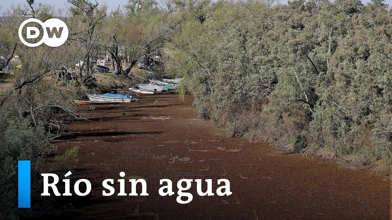 segundo río más largo de sudamérica