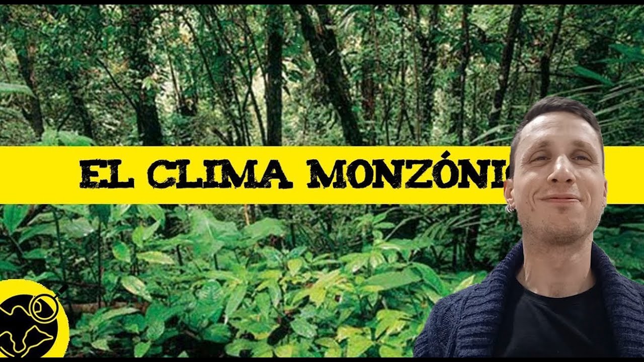 tropical con lluvias de monzón