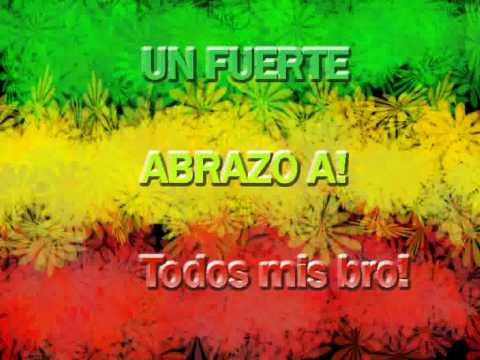 verde amarillo y rojo bandera