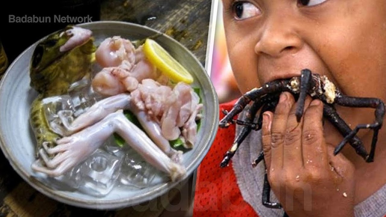 animales de mar que se comen