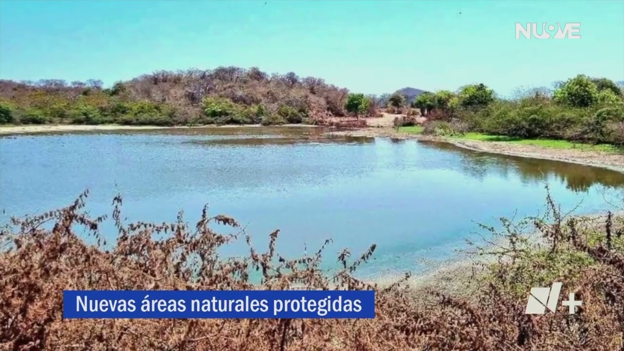areas naturales protegidas de oaxaca