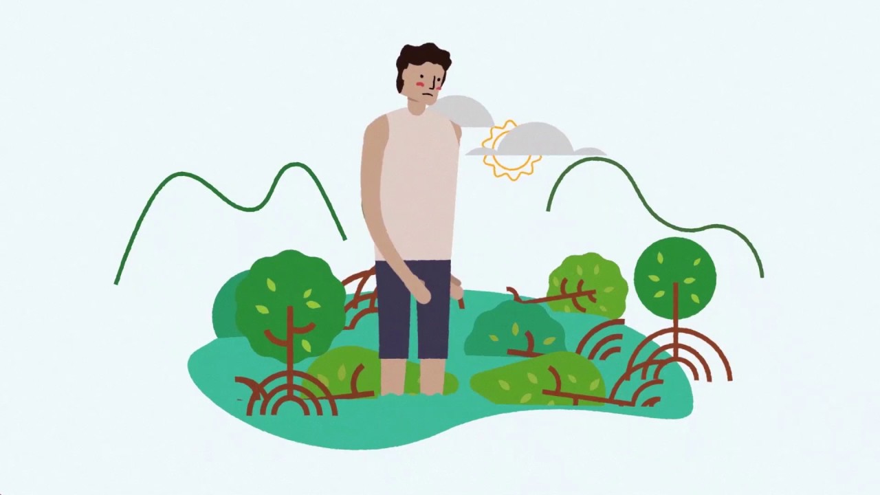 areas naturales protegidas que son