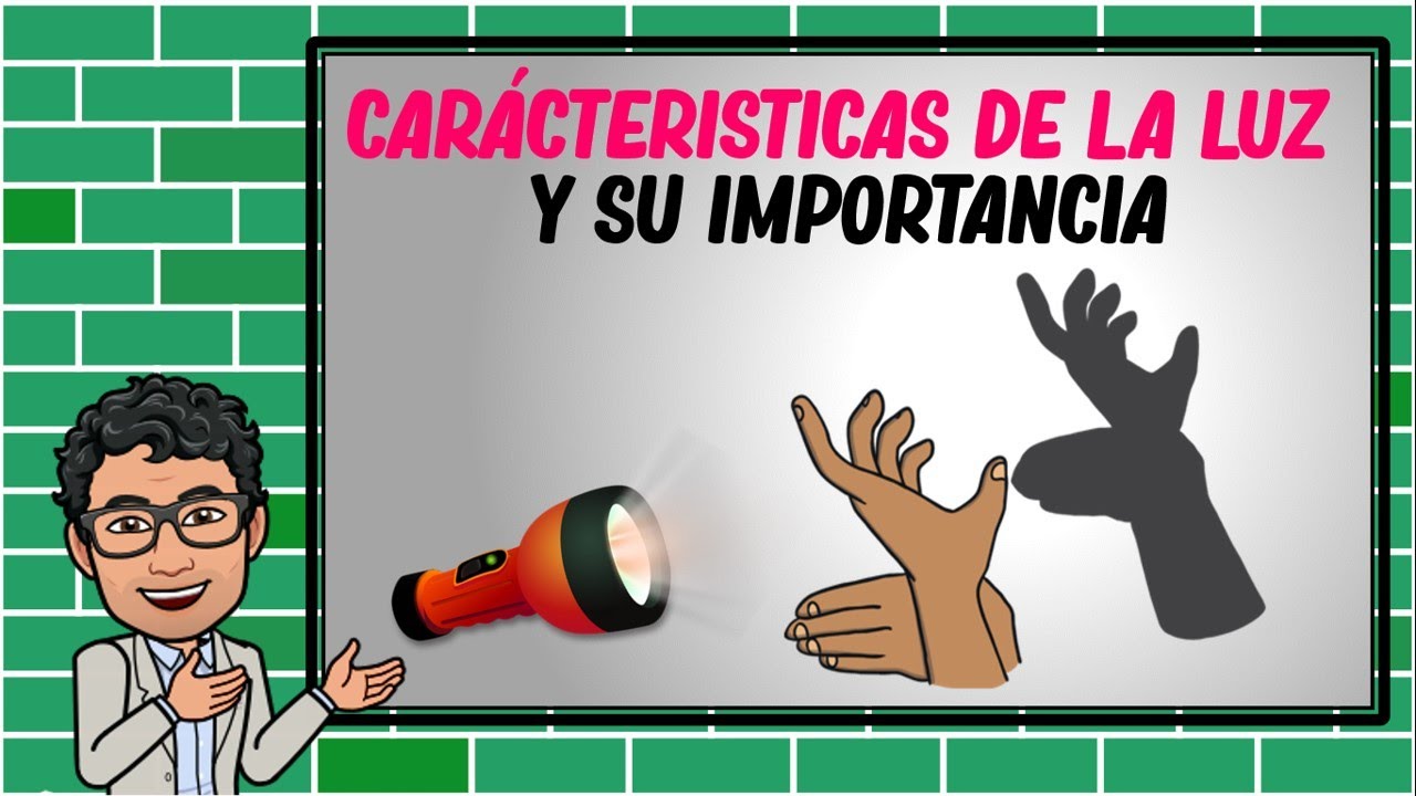 caracteristicas de la luz y su importancia