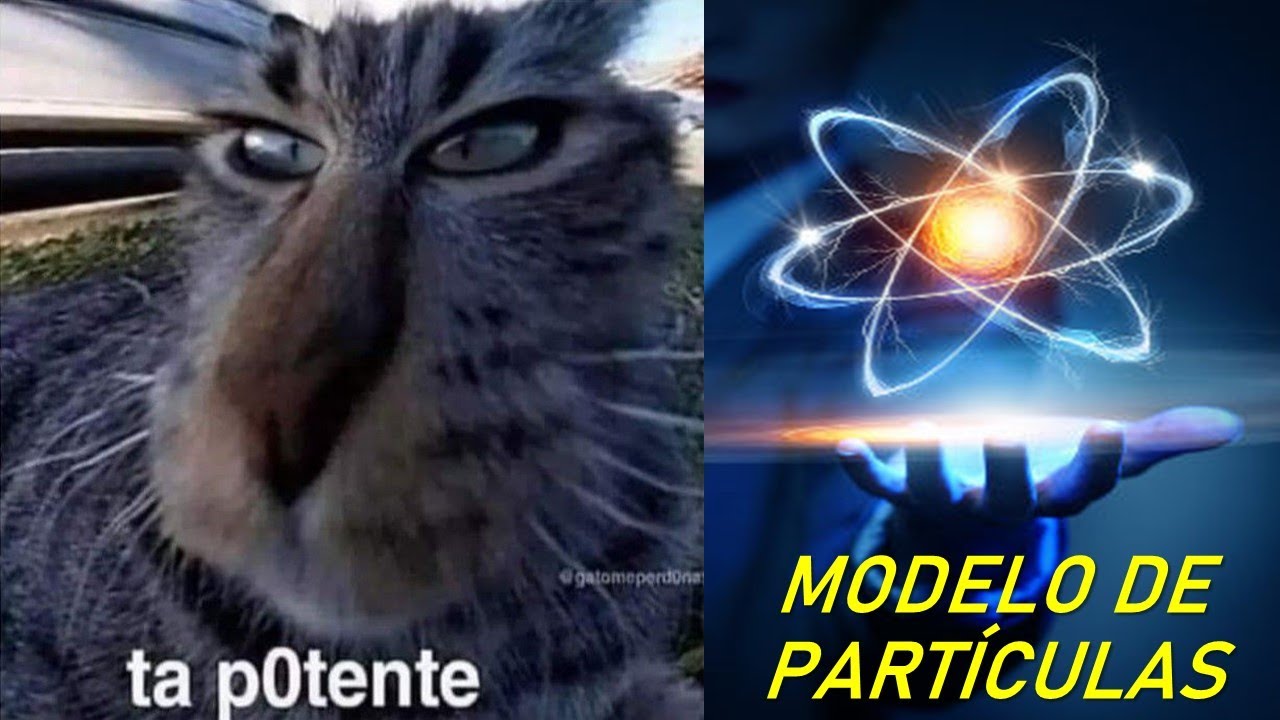 caracteristicas del modelo de particulas
