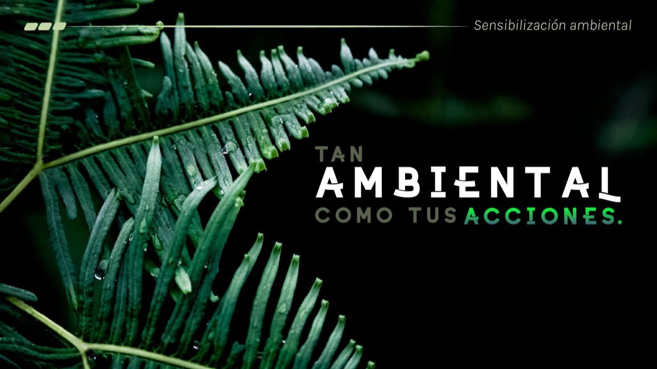 como afecta el consumo de energia al medio ambiente