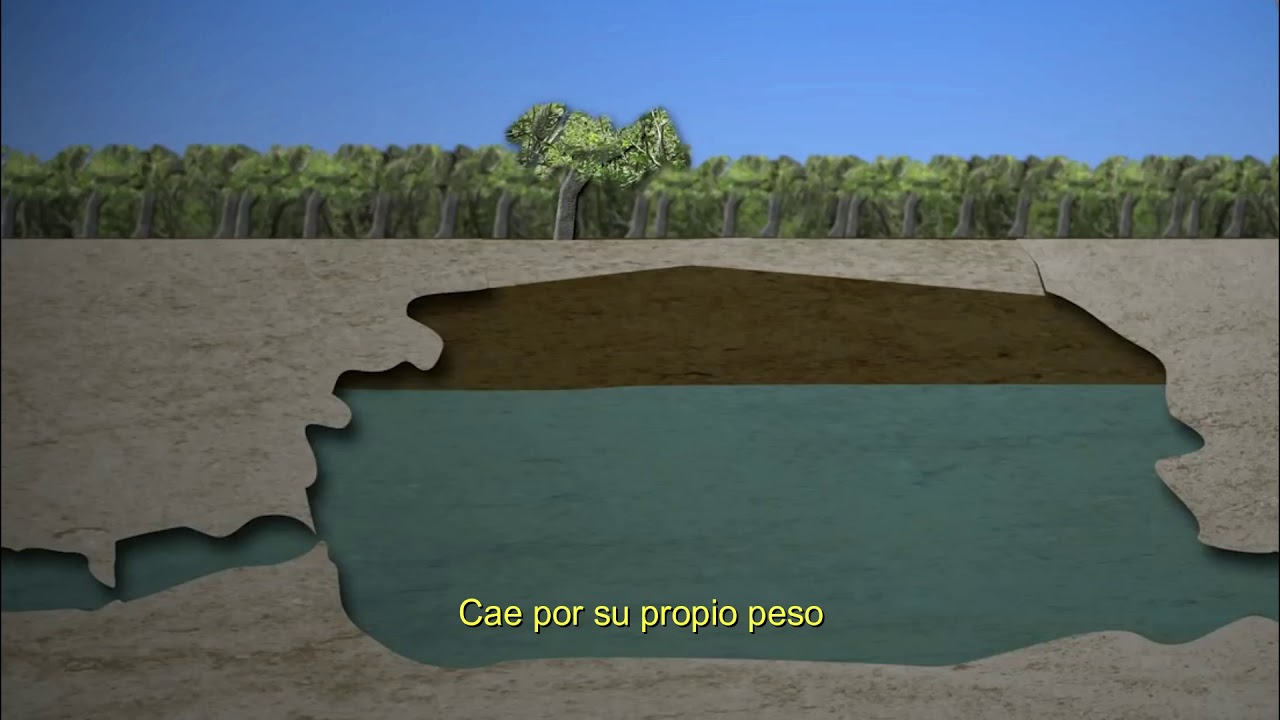 como se formaron los cenotes