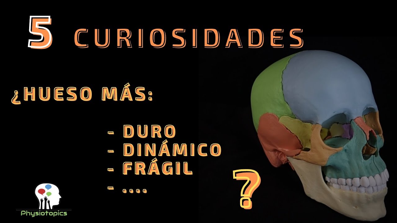 cual es el hueso mas duro del cuerpo
