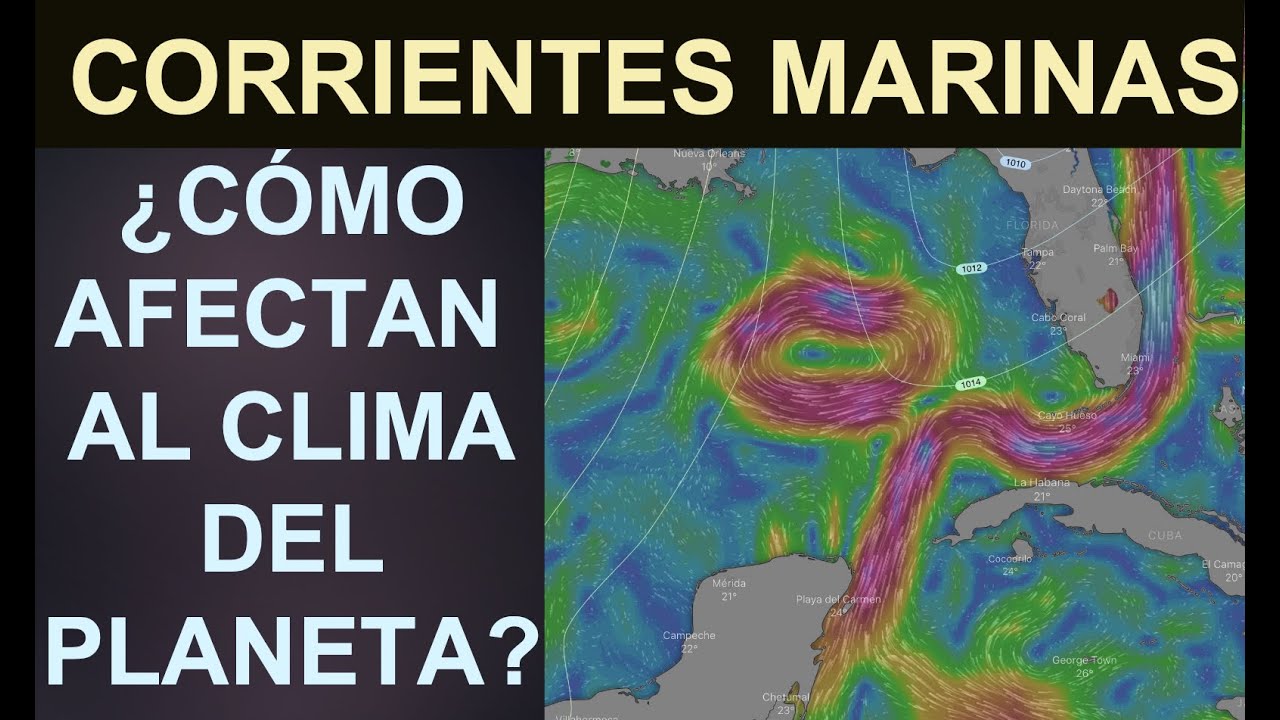en que influyen las corrientes marinas