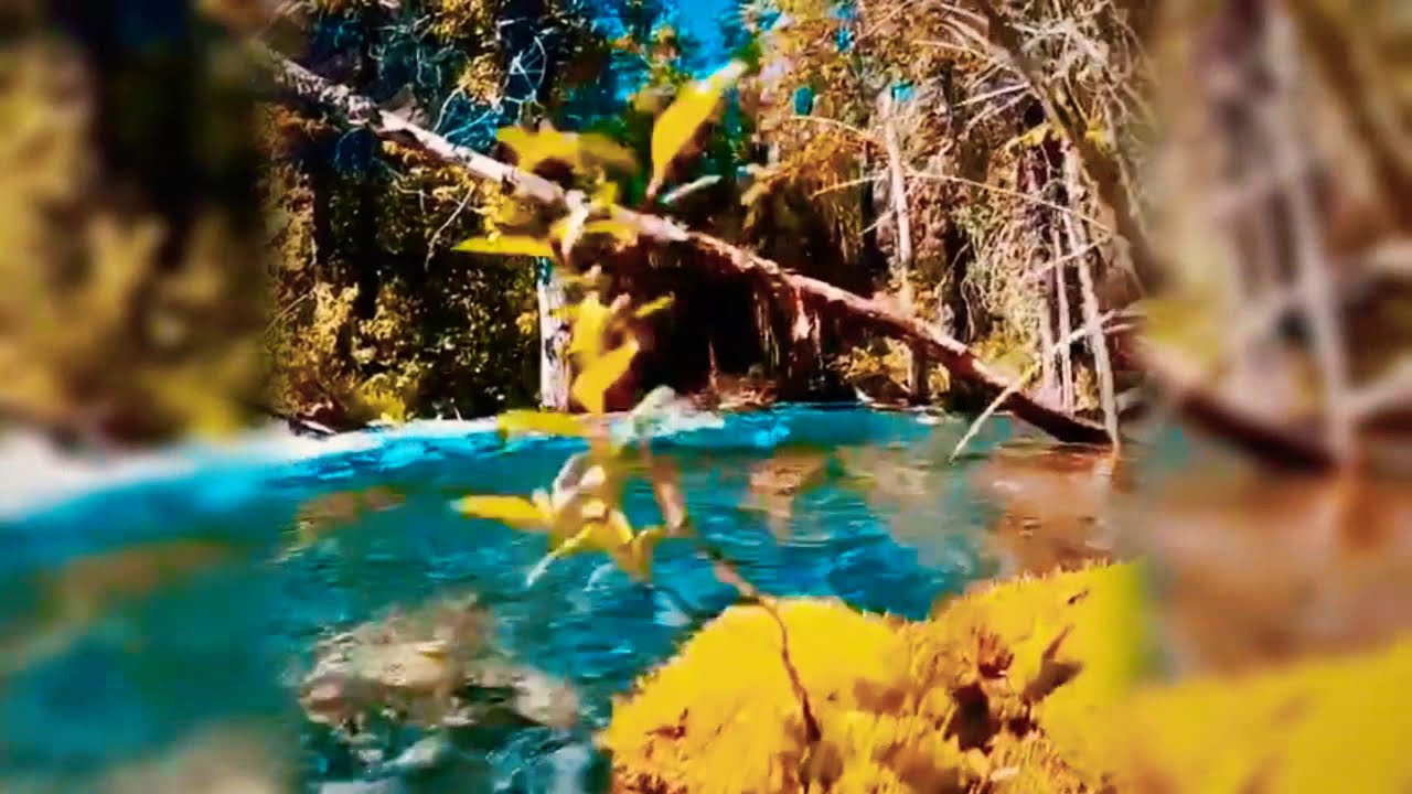 en qué río desemboca el lago del oso