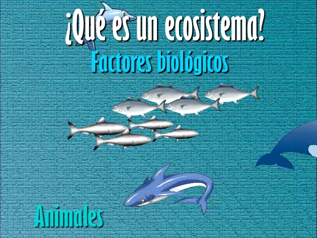 factores físicos y biológicos de un ecosistema