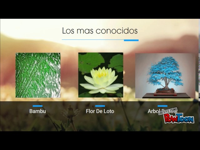 flora y fauna de china