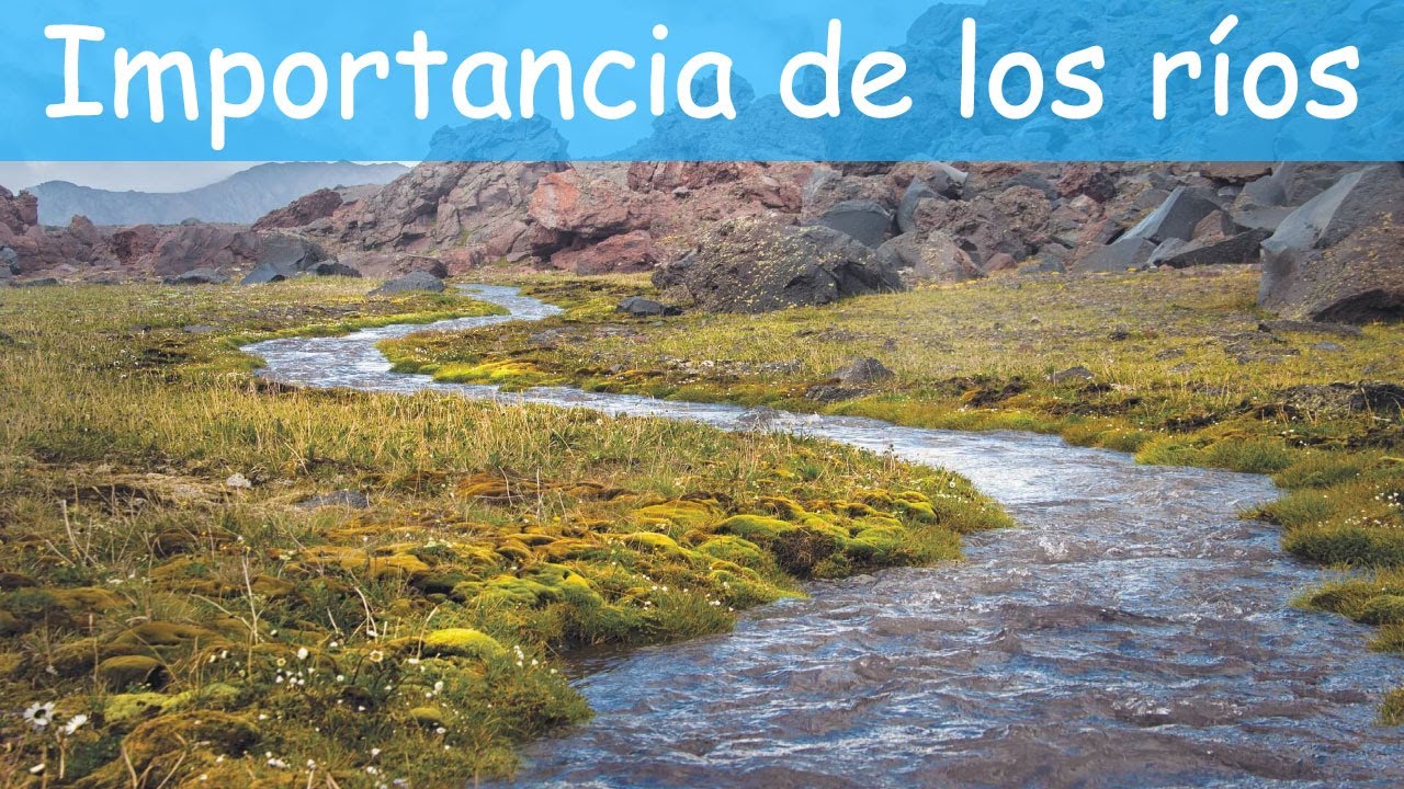 porque son importante los ríos
