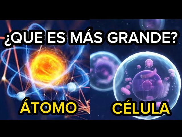 que es mas grande un atomo o una molecula