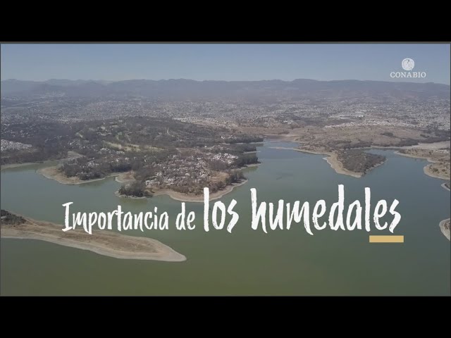 que son los humedales y su importancia