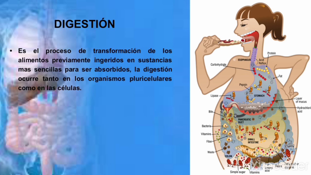 reacciones quimicas importantes de nuestro entorno