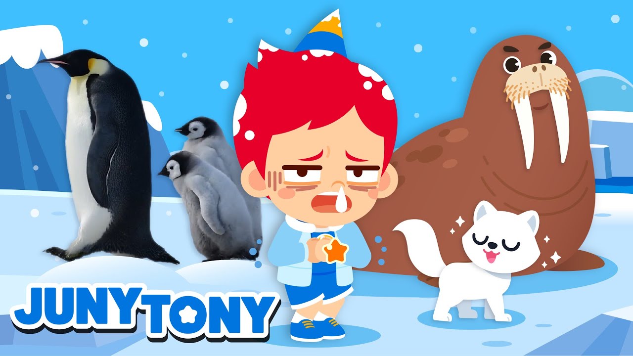 animales de la región polar