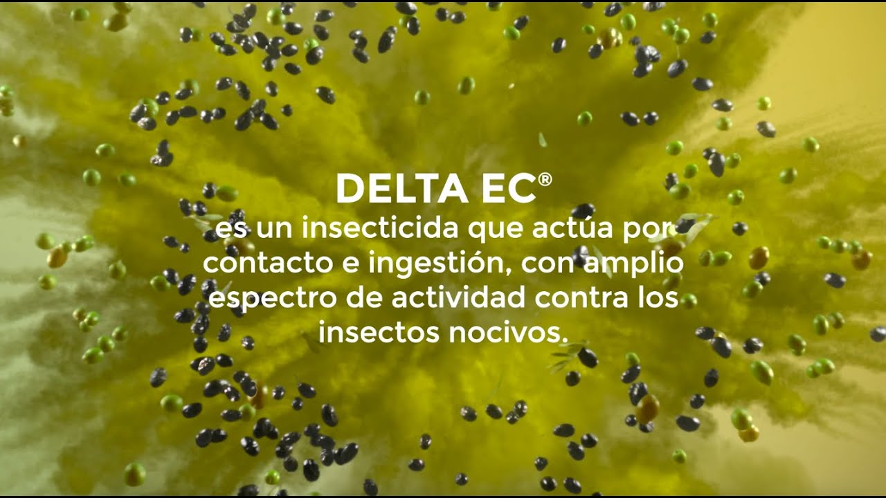 el mejor insecticida para la mosca del olivo