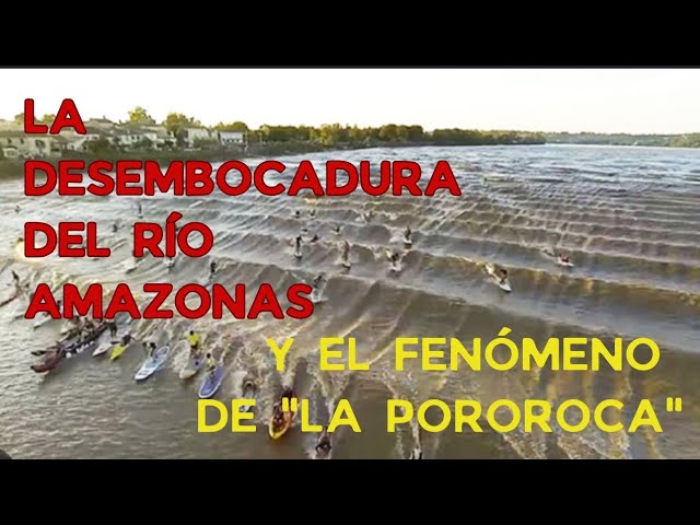 en qué océano desemboca el río yangzi
