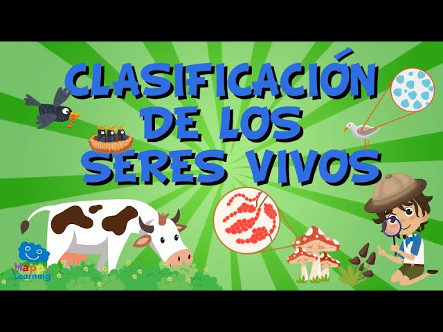 lámina de los seres vivos