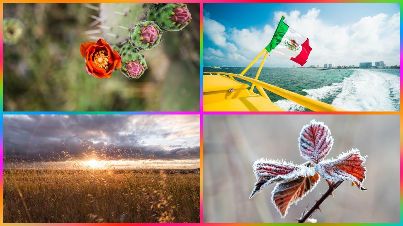 las estaciones del año en mexico