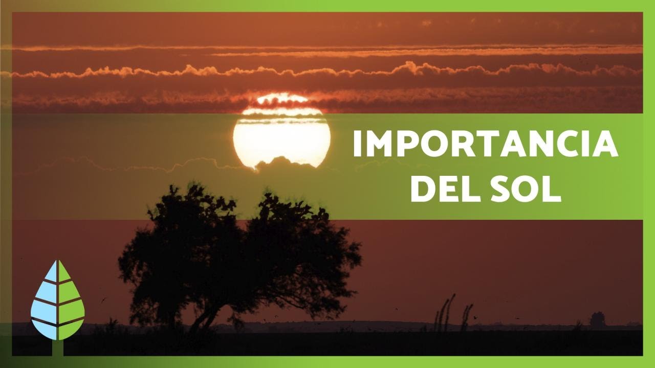 por qué es importante la luz natural
