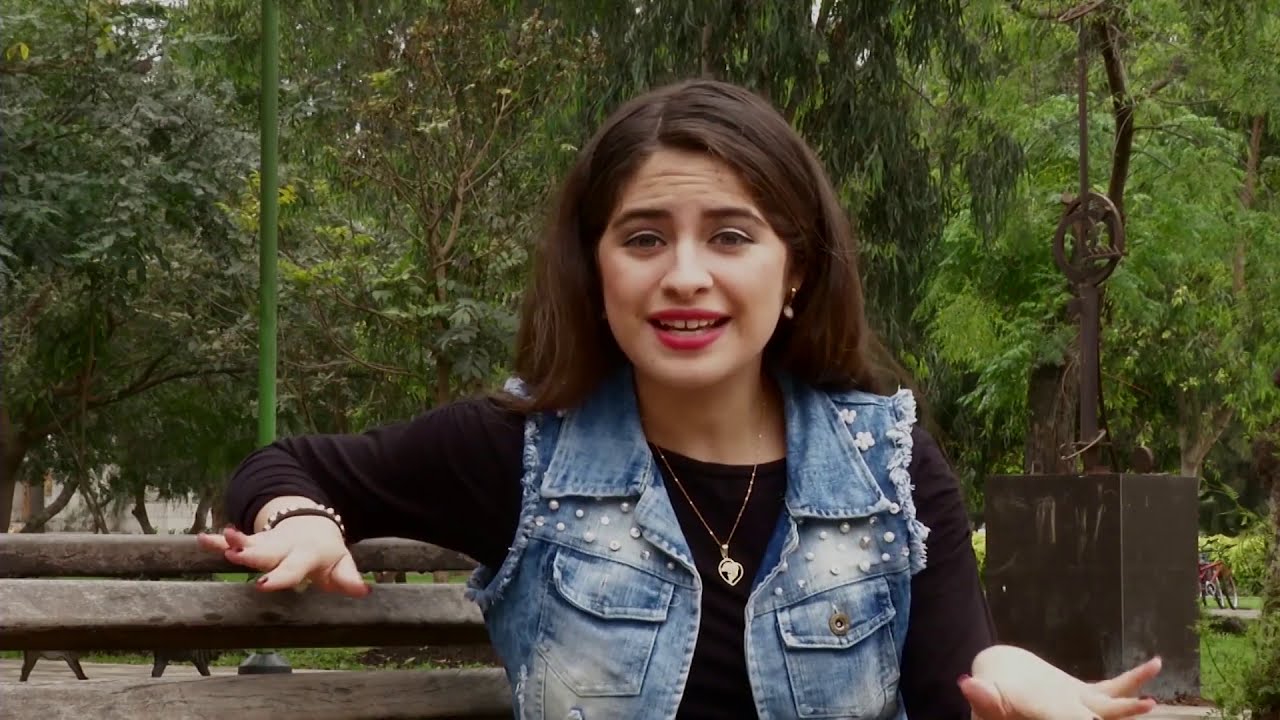 tres características de las zonas templadas
