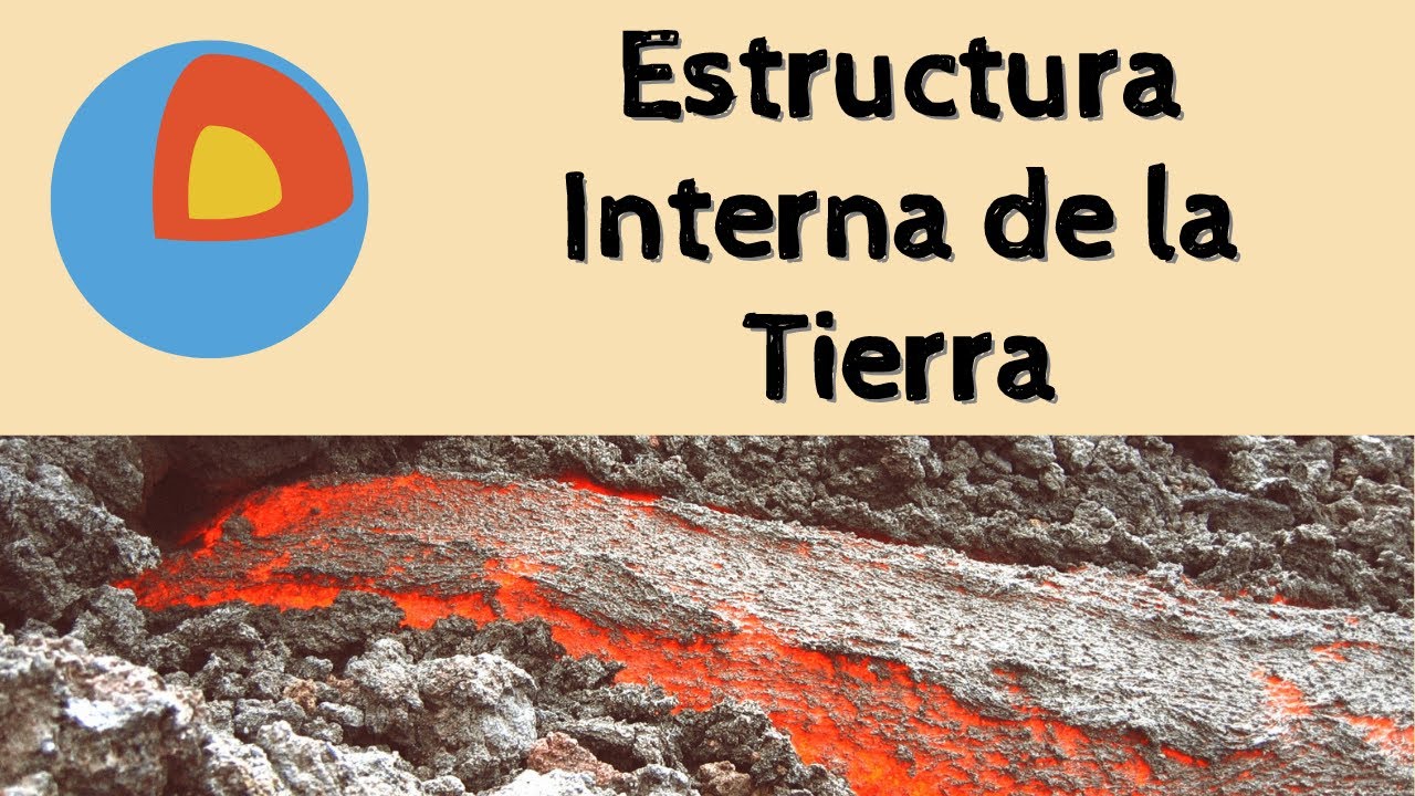 como es tu estructura interna